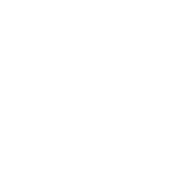 Ruavira Collective Logo